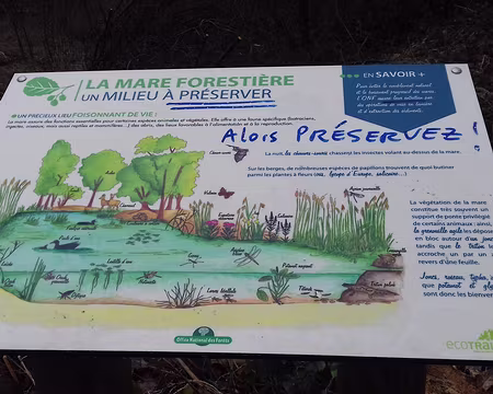 018 Les mares favorisent la biodiversité