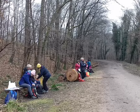 019 Pique-nique au bord du chemin non loin de l’étang de la Geneste