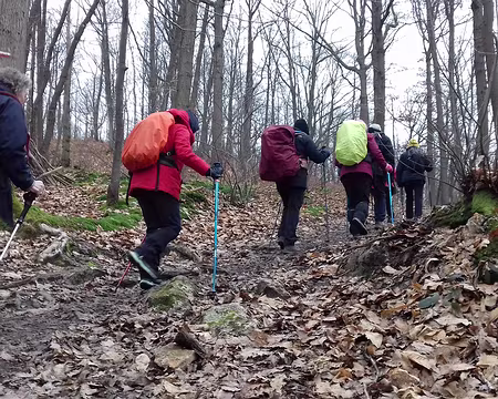 027 Montée vers le plateau dans le bois de la Couronne