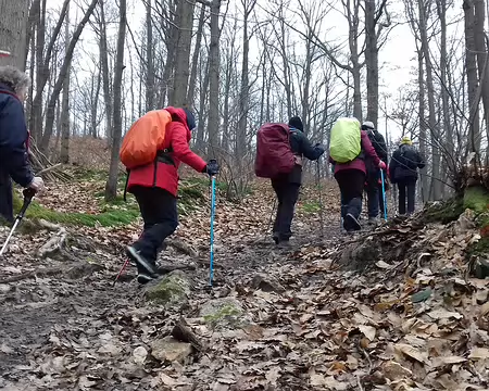 027 Montée vers le plateau dans le bois de la Couronne