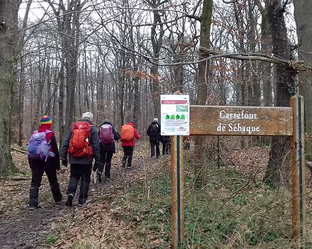 028 Sur le chemin de Sébaque dans le bois du Cerf-Volant