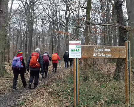 028 Sur le chemin de Sébaque dans le bois du Cerf-Volant