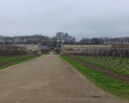 033 Le Potager du Roi créé par Jean-Baptiste de La Quintinie à la fin du XVIIème siècle pour alimenter la table royale sous Louis XIV
