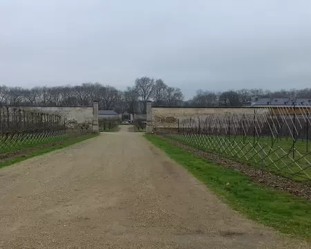 033 Le Potager du Roi créé par Jean-Baptiste de La Quintinie à la fin du XVIIème siècle pour alimenter la table royale sous Louis XIV