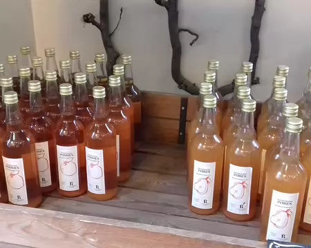 035 Les pommes et les poires du Potager du Roi donnent de délicieux jus de fruits