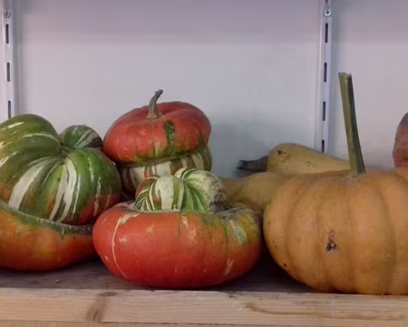 036 Nature morte (boutique du Potager du Roi)