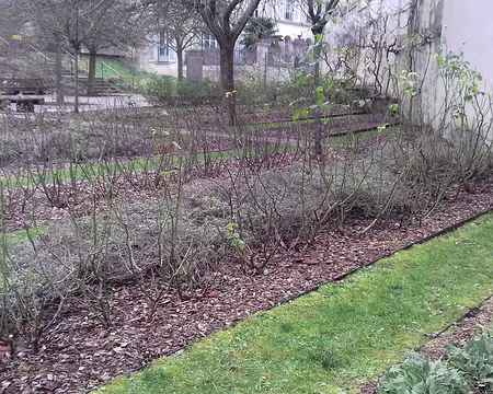 039 Le jardin des Récollets, dans le quartier Saint-Louis de Versailles, a été inauguré en 2001 sur le domaine du couvent des Récollets