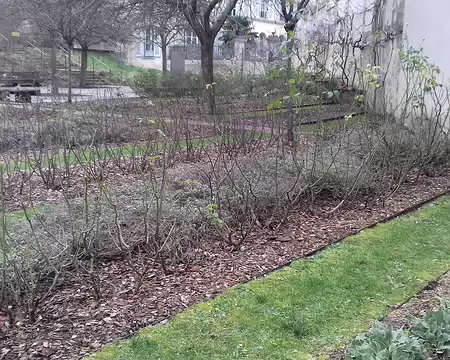 039 Le jardin des Récollets, dans le quartier Saint-Louis de Versailles, a été inauguré en 2001 sur le domaine du couvent des Récollets