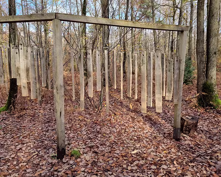 029 Dans la forêt de Méridon