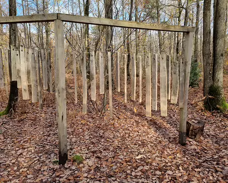 029 Dans la forêt de Méridon