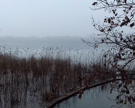 004 L’étang des Noës appartient au réseau hydraulique des étangs, rigoles, et aqueducs de Versailles