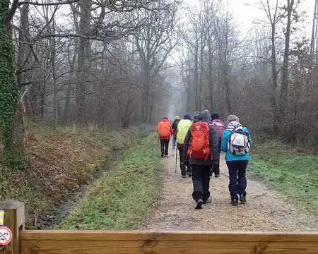 006 Arrivée dans la forêt domaniale de Port-Royal