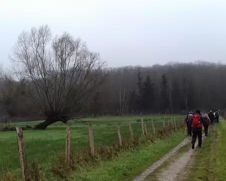 028 Le chemin Jean Racine au milieu des prairies (vallée du Rhodon)