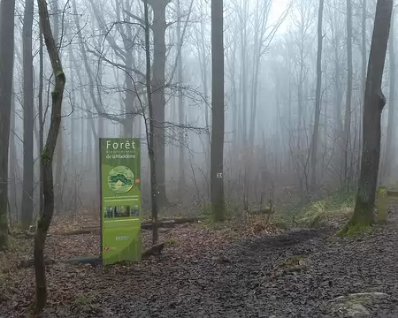 029 Arrivée dans la forêt départementale de la Madeleine, espace naturel remarquable