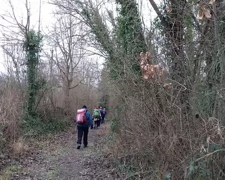 007 Chemin dans le parc de Livry