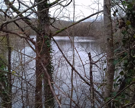 008 Plusieurs étangs, parallèles à la Seine, jalonnent le parc à l’emplacement d’anciennes gravières exploitées après la deuxième guerre mondiale
