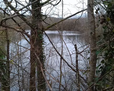 008 Plusieurs étangs, parallèles à la Seine, jalonnent le parc à l’emplacement d’anciennes gravières exploitées après la deuxième guerre mondiale