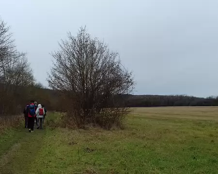 010 Sur le chemin, entre Seine et étang