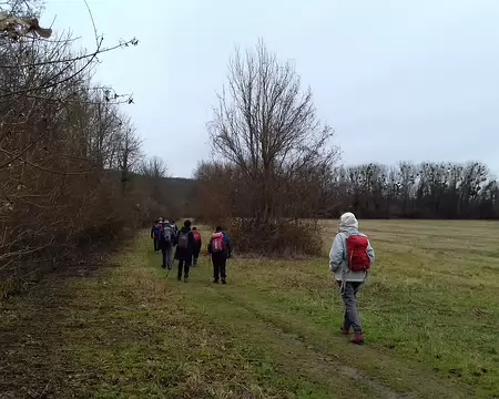 014 Prairie entre Seine et étang