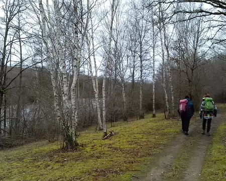 019 Le parc de Livry en hiver