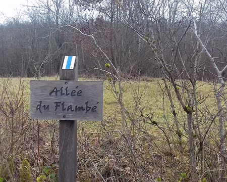 023 L’allée du Flambé est parallèle au grand étang