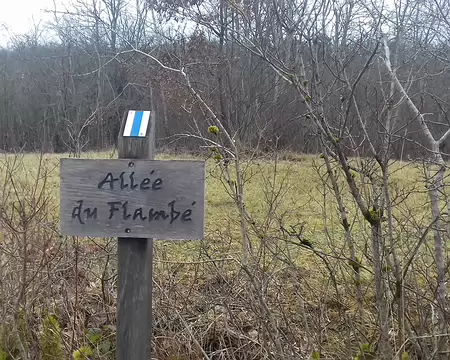 023 L’allée du Flambé est parallèle au grand étang