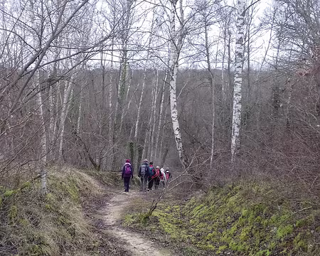 024 Descente vers l’étang