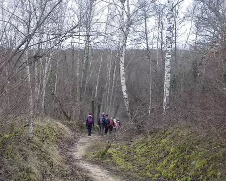 024 Descente vers l’étang