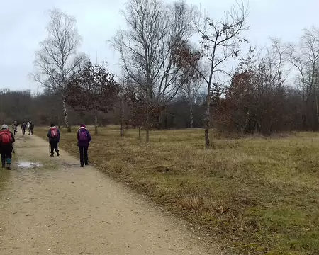 028 Retour sur l’allée du Flambé qui traverse le parc de Livry