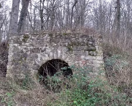 035 Vestige de four à chaux vu du Chemin du Four à Chaux, dans le bois de Givry