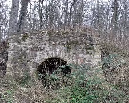 035 Vestige de four à chaux vu du Chemin du Four à Chaux, dans le bois de Givry