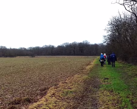 037 Chemin de lisière