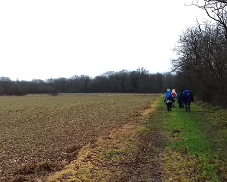 037 Chemin de lisière