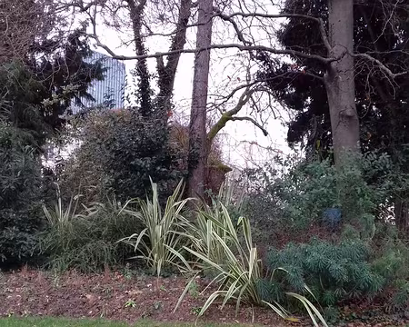 041 d’où l’on devine la tour de Jussieu