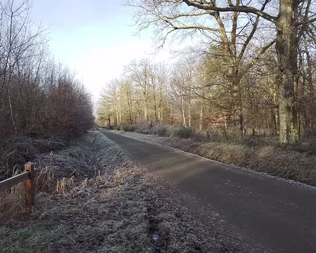 IMG_20250104_102236437