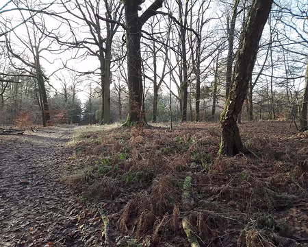 IMG_20250104_104614284