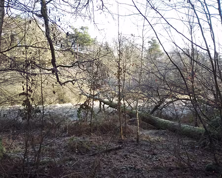 IMG_20250104_105749521