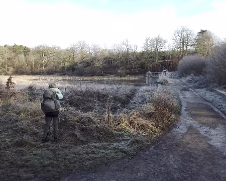 IMG_20250104_110311471