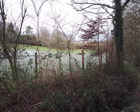 IMG_20250104_141623027