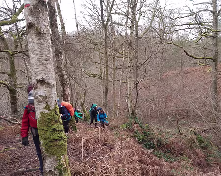 IMG_20250104_154846147