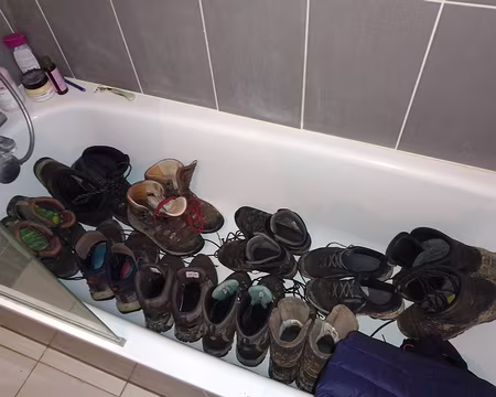 IMG_20250105_124513942