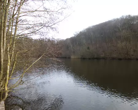 P1200708 Etang de la Garenne, Forêt de Meudon