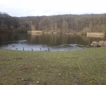 P1200711 Etang de Meudon