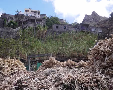 Ribeira do Duque, trapiche (distillerie de grogue, le rhum local).