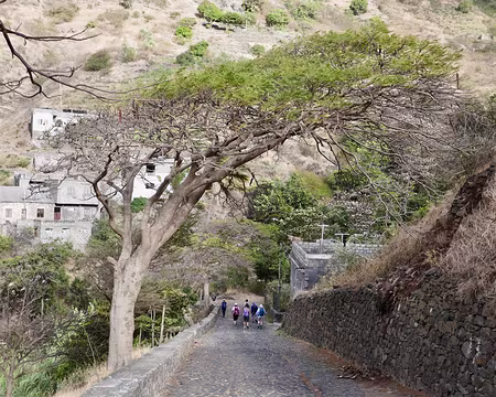Dans la descente vers Coculi.