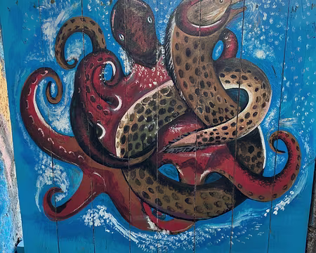 Cruzinha da Garça, départ de la rando. Beaucoup de murs peints.