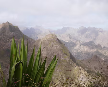 Depuis le Chã de Mato