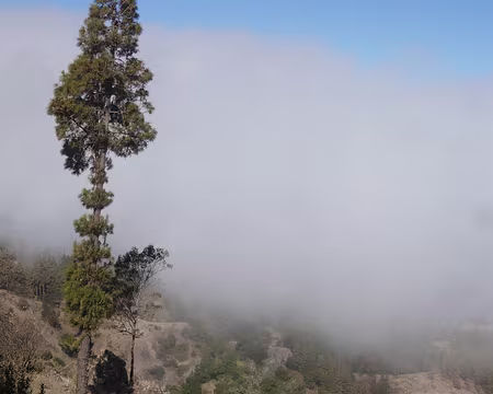 Depuis le Chã de Mato.