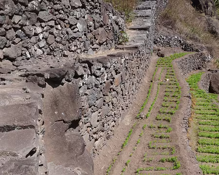 La marquetterie pour l'irrigation, et les marches...