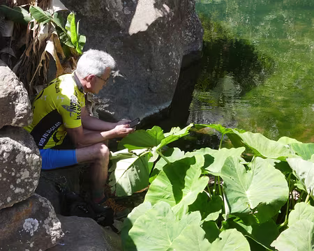 Pause lecture auprès d'une source. Mais pas de naïade...